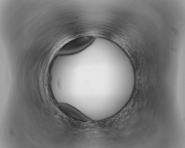 X0000115130289200911101652