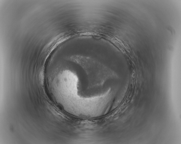 X0000115130290200911101652