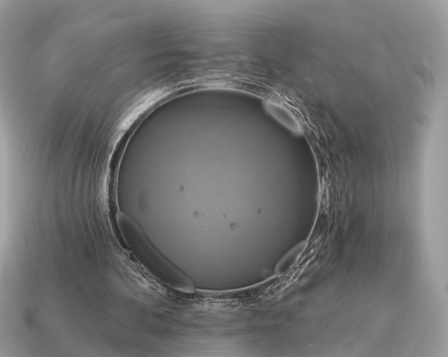X0000115130292200911101652