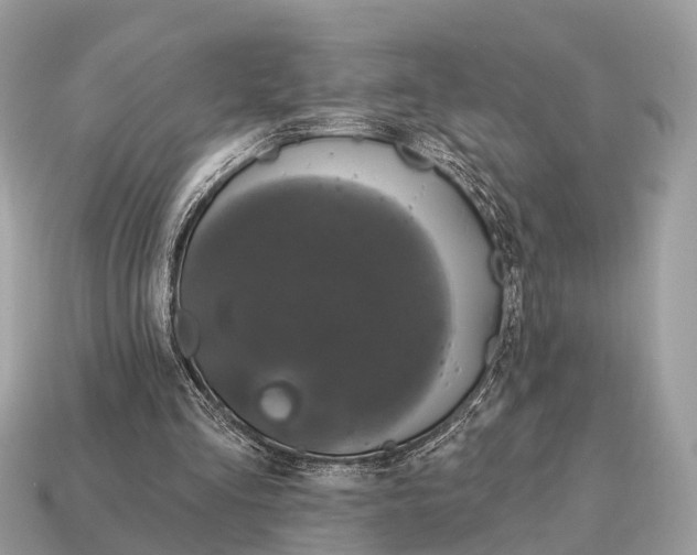 X0000115130293200911101652