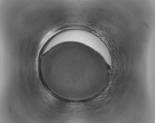 X0000115130296200911101652