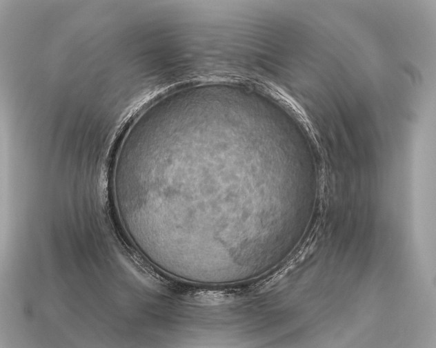 X0000115130298200911101652