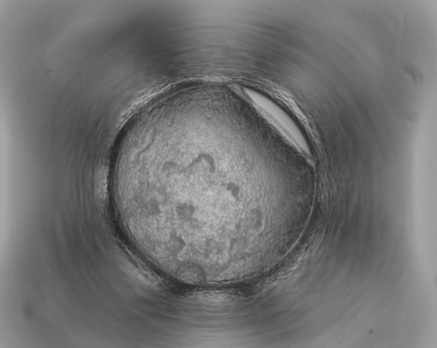X0000115130299200911101652