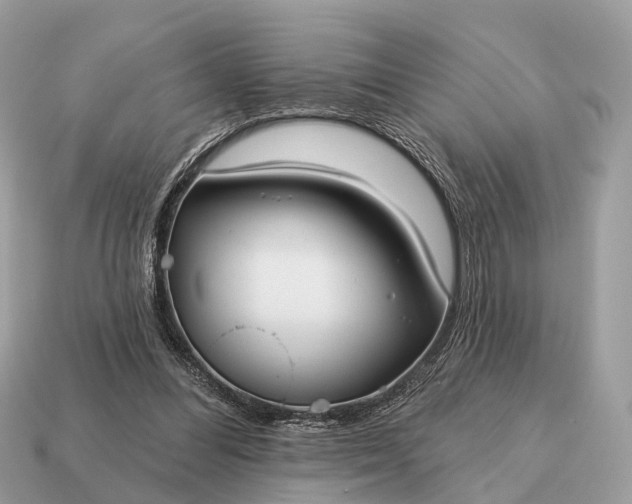 X0000115130300200911101652