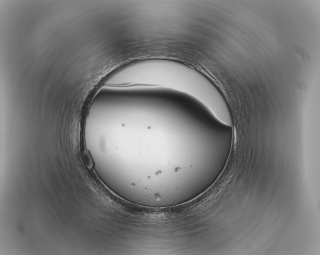 X0000115130301200911101652