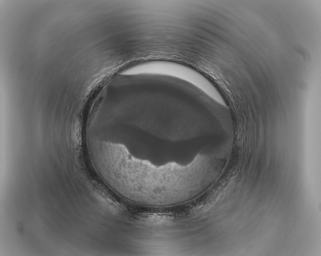 X0000115130303200911101652