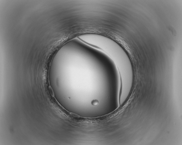 X0000115130305200911101652