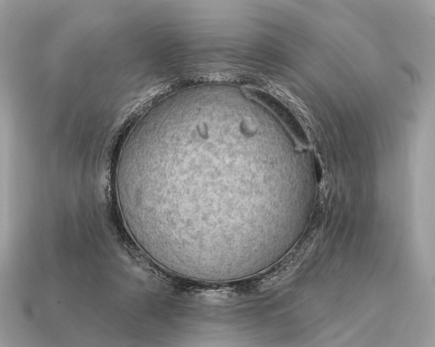 X0000115130306200911101652
