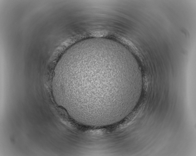 X0000115130307200911101652