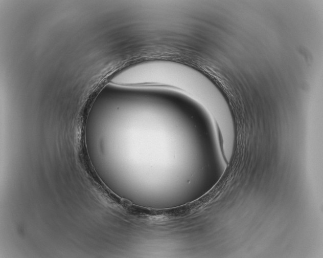 X0000115130309200911101652