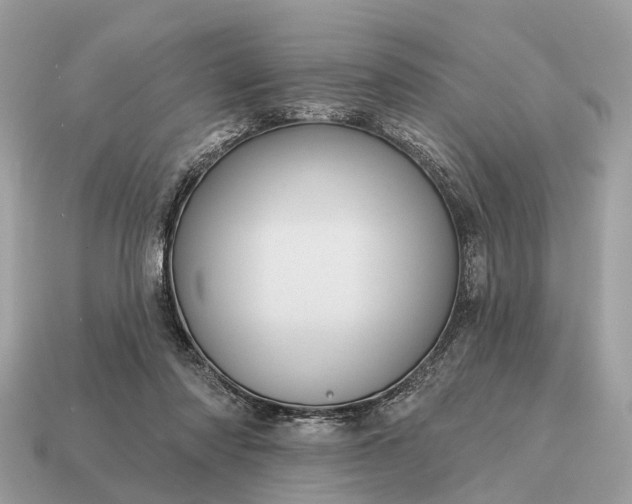 X0000115130310200911101652