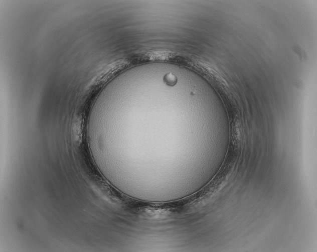 X0000115130311200911101652