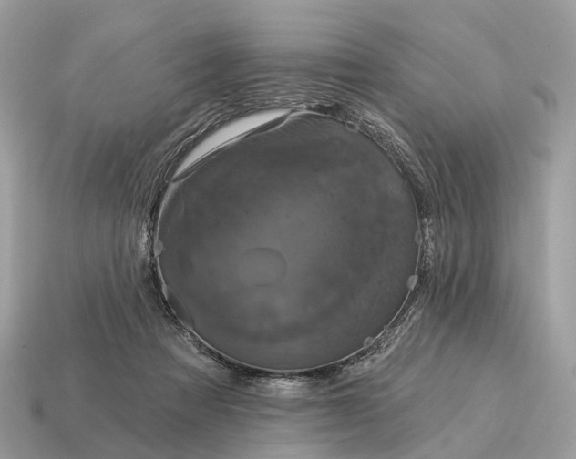 X0000115130313200911101652