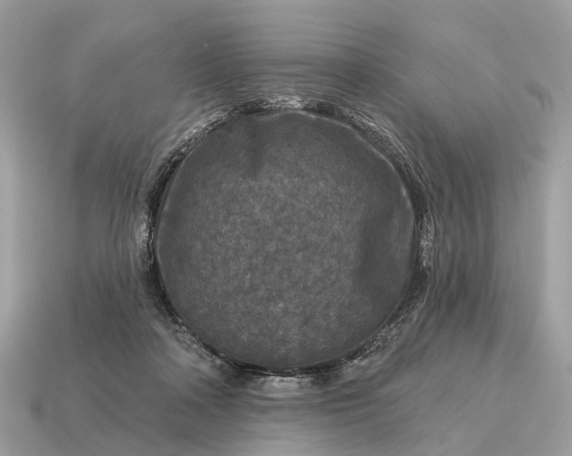 X0000115130314200911101652