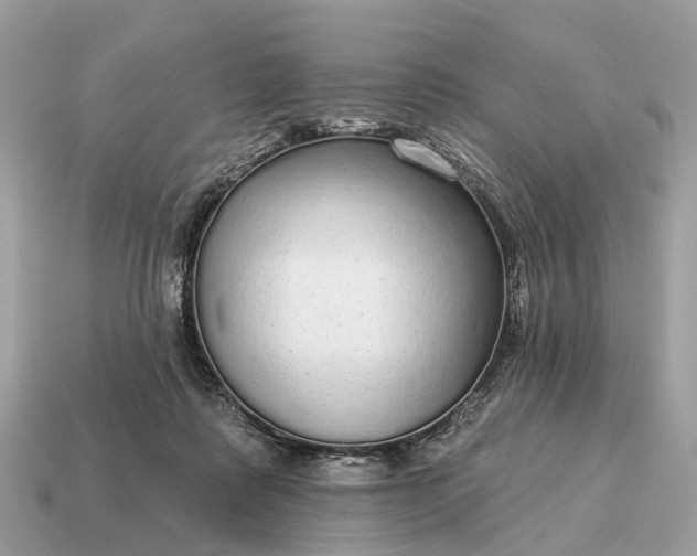 X0000115130315200911101652