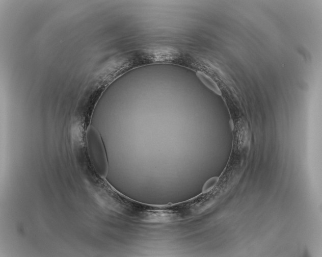 X0000115130316200911101652