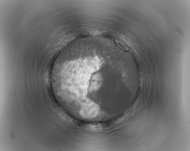 X0000115130317200911101652