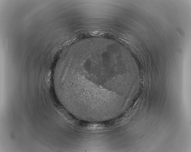 X0000115130319200911101652