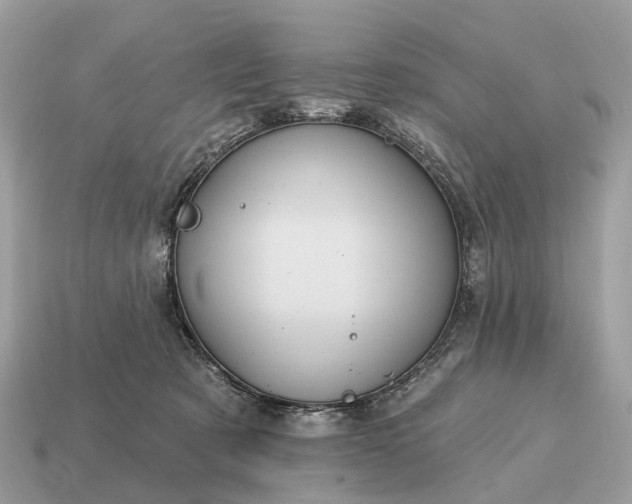 X0000115130321200911101652