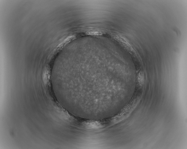 X0000115130322200911101652