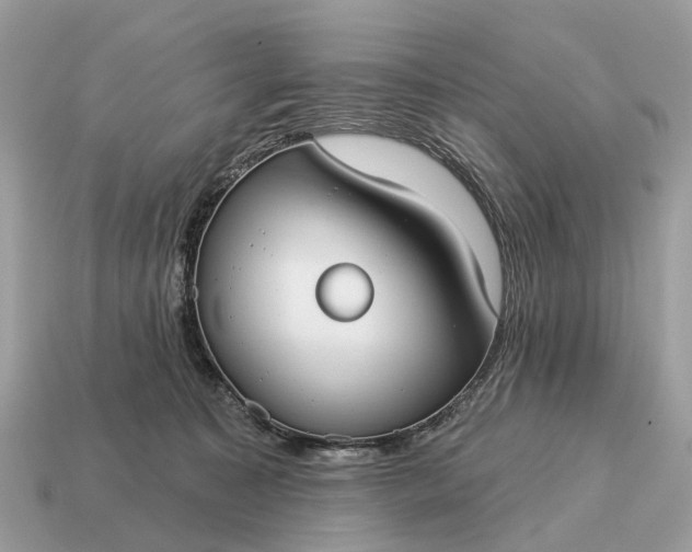 X0000115130323200911101652