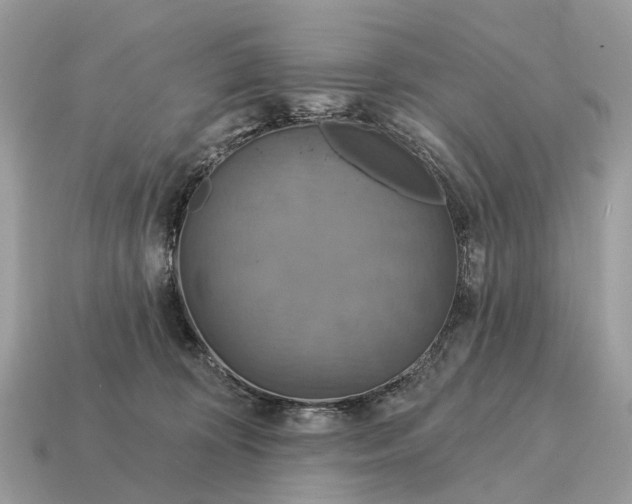 X0000115130324200911101652