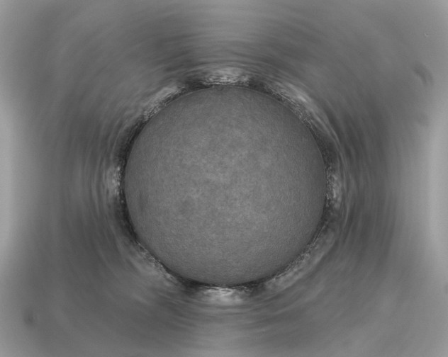 X0000115130326200911101652