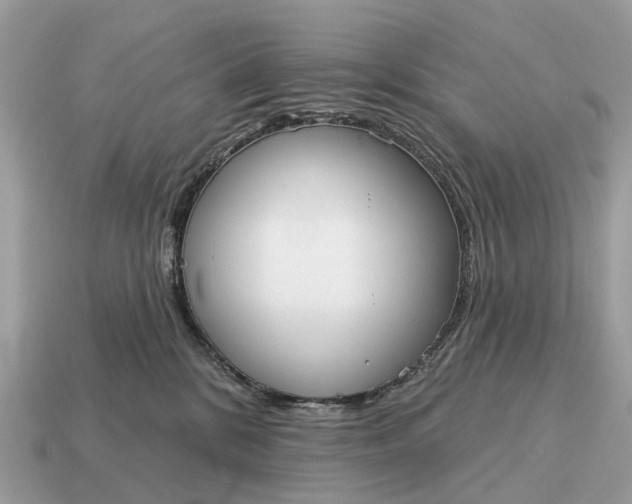 X0000115130328200911101652