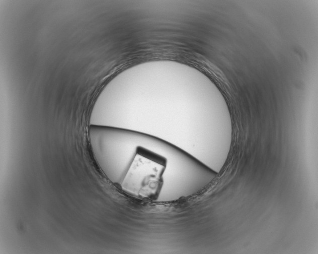 X0000115130329200911101652