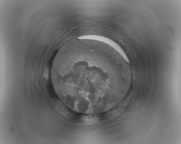 X0000115130331200911101652