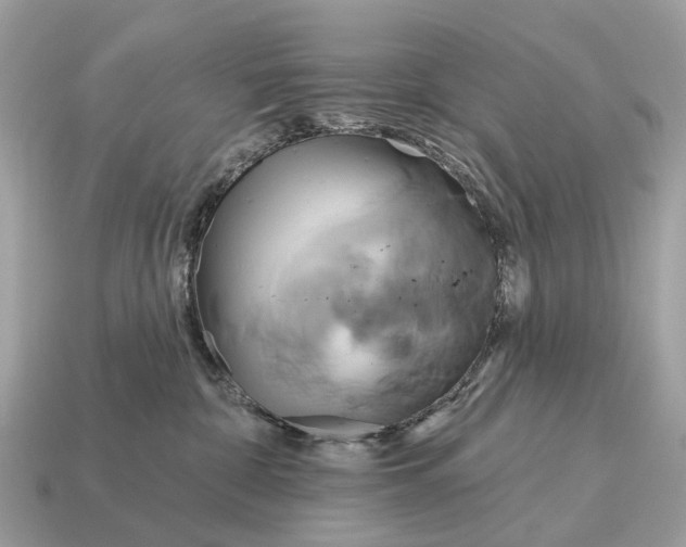 X0000115130332200911101652