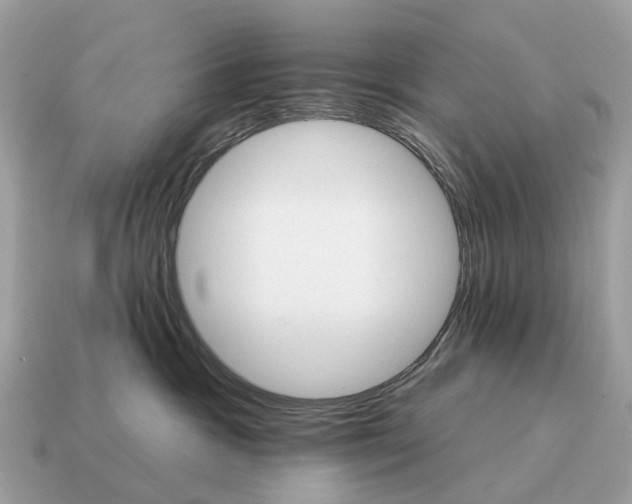 X0000115130333200911101652