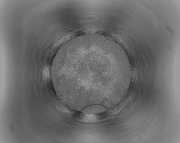 X0000115130335200911101652