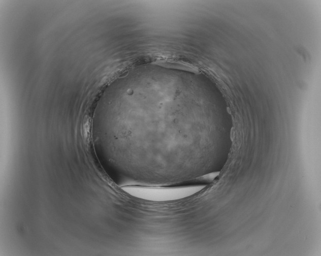 X0000115130336200911101652