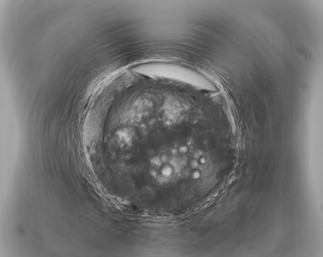 X0000115130337200911101651