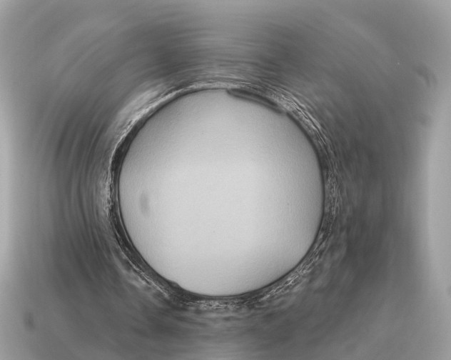 X0000115130338200911101651
