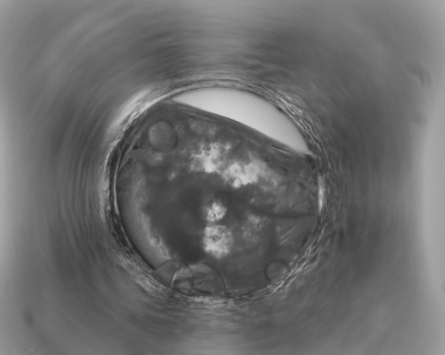 X0000115130339200911101651