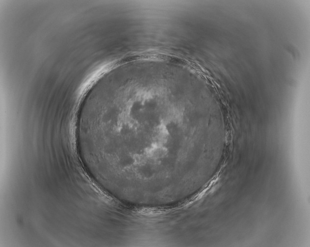 X0000115130341200911101651