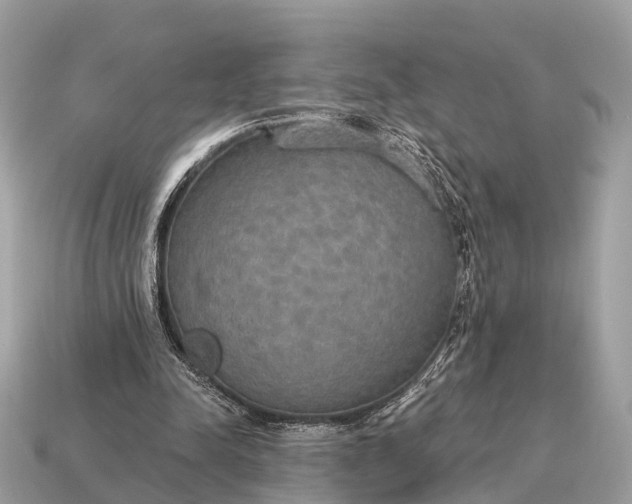 X0000115130342200911101651