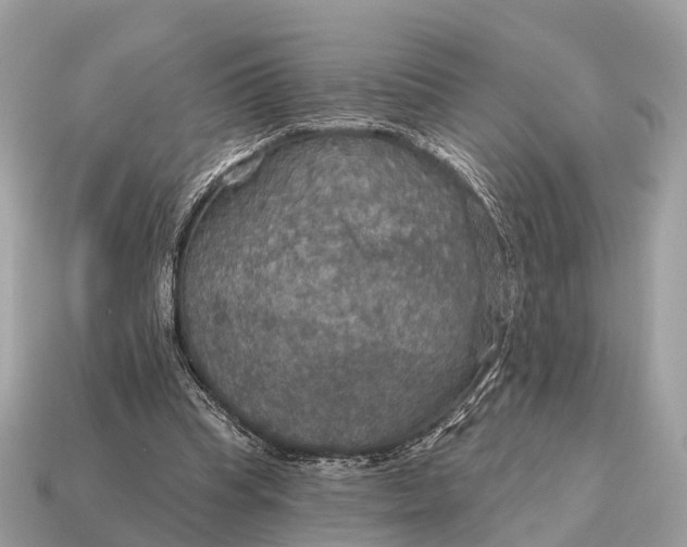 X0000115130345200911101651