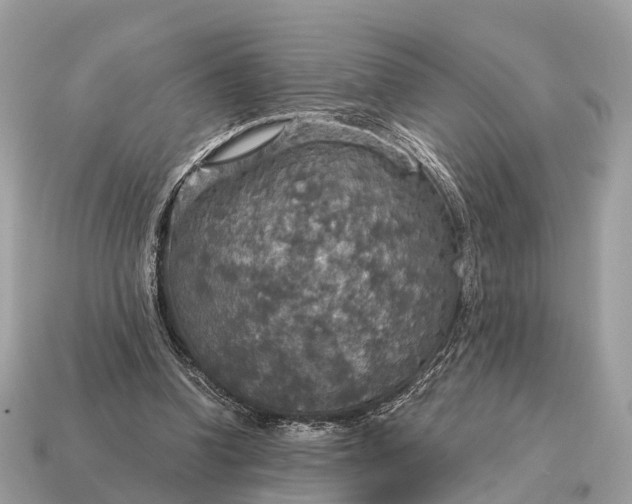 X0000115130346200911101651