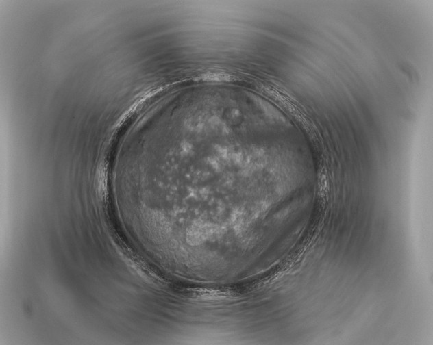 X0000115130347200911101651