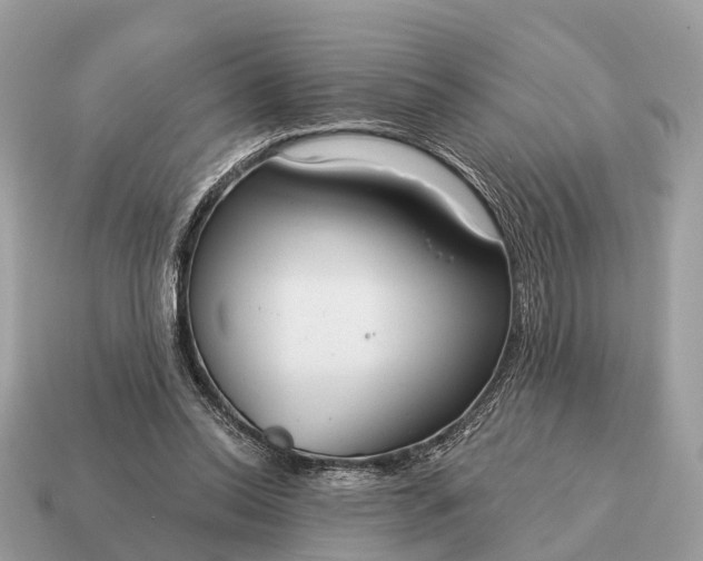 X0000115130350200911101651