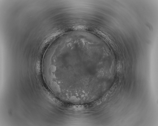 X0000115130353200911101651