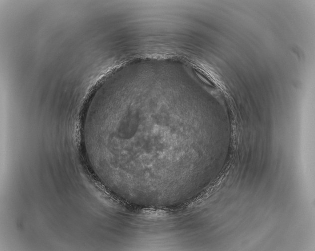 X0000115130354200911101651