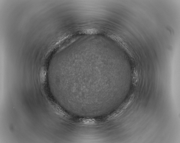 X0000115130355200911101651