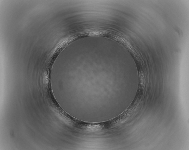 X0000115130357200911101651