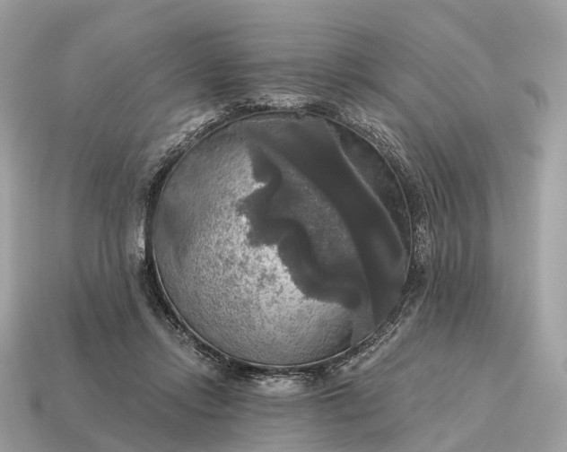 X0000115130358200911101651