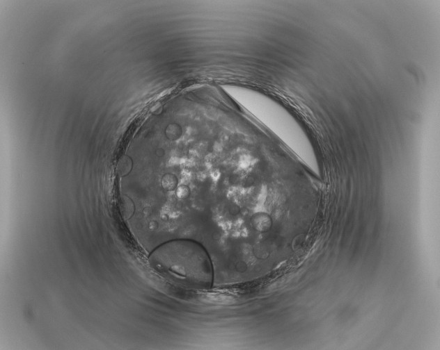 X0000115130359200911101651