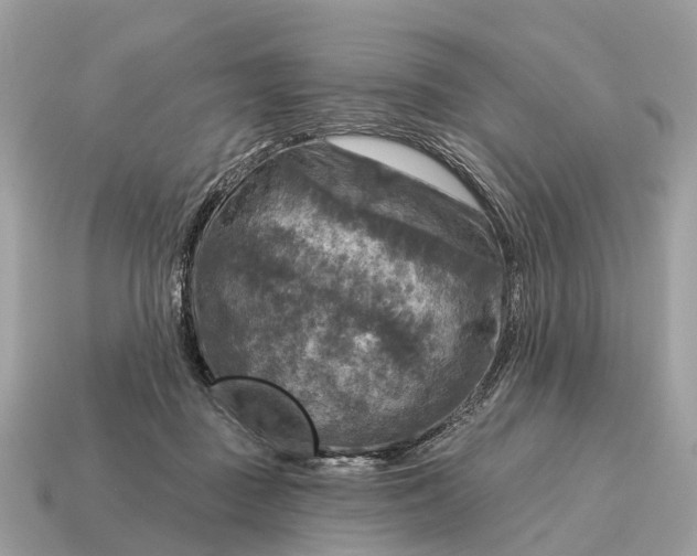 X0000115130363200911101652